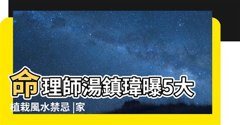 九重葛招陰|如何按照風水來擺設九重葛？（特徵、方位、共同擺設的植物）